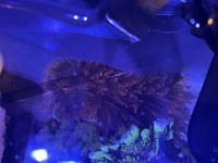 IMG_3891.jpeg