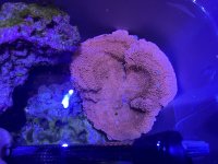 IMG_3888.jpeg