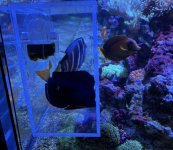 IMG_6461.jpeg