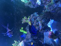 IMG_6531.jpeg