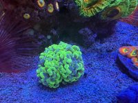 IMG_3723.jpeg