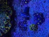 IMG_3722.jpeg