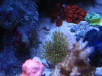Img_0105.jpg