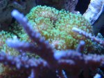 Img_0106.jpg
