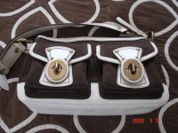 COACH BAG1.jpg
