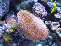 IMG_1754.jpg