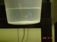 DSC00026.jpg