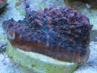 IMG_4327.jpg