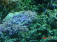 DSC00006.jpg
