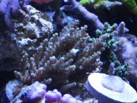 Img_0034.jpg