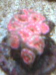 Image006.jpg
