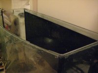 IMG_0095.jpg