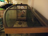 IMG_0096.jpg