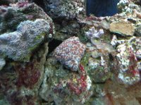 DSCN0952.jpg