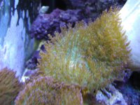 P9250016 (2).JPG
