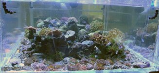 3-22-061.jpg