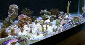 3-22-066.jpg