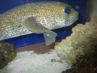 IMG_2715.jpg