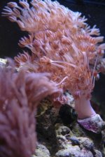DSC_8536_1.jpg