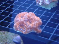 DSC01168.JPG