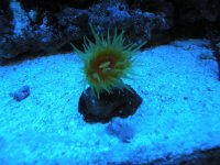 DSCN0968.jpg