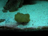 DSCN0879.jpg