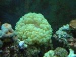 DSCN0881.jpg