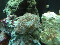 DSCN0878.jpg