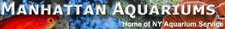 Man-Reef-Banner-flat.jpg