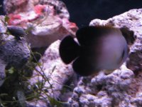 IMG_2394.JPG