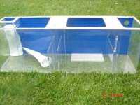 sumps 013.JPG
