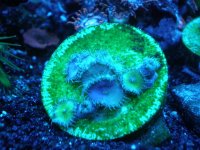fish tank 1 003.jpg