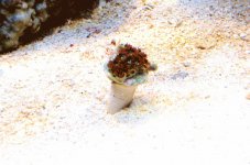 IMG_6879.jpg