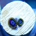 RARE ZOAS3 003.jpg