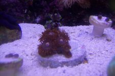 100_1256.jpg