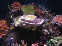 IMG_7886.jpg