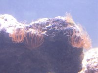 IMG_1235.JPG