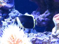 nano 9-29-09 091.jpg