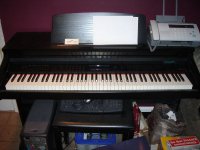 DSC01651.JPG