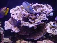 DSC05552.JPG