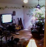 living_room_vine.jpg