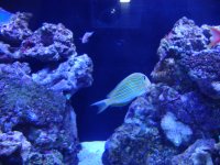 DSC00384.JPG