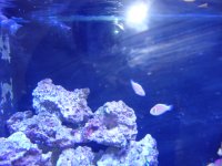 DSC00385.JPG