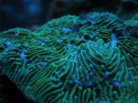 nano 9-29-09 692.jpg