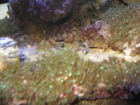 IMG_3697.jpg