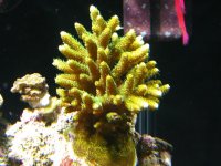 2.21.09 186.jpg