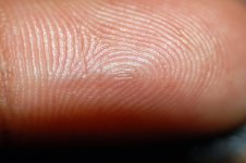 fingerprint01.jpg
