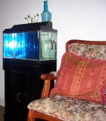 000_2853.JPG