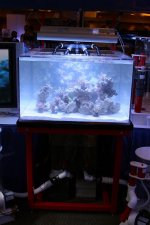 IMG_9271.jpg