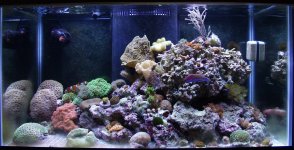 Full Tank2.jpg